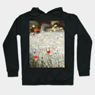 Flowers, Field, Nature, Neutral, Landscape,Scandinavian art, Modern art, Wall art, Print, Minimalistic, Modern Hoodie